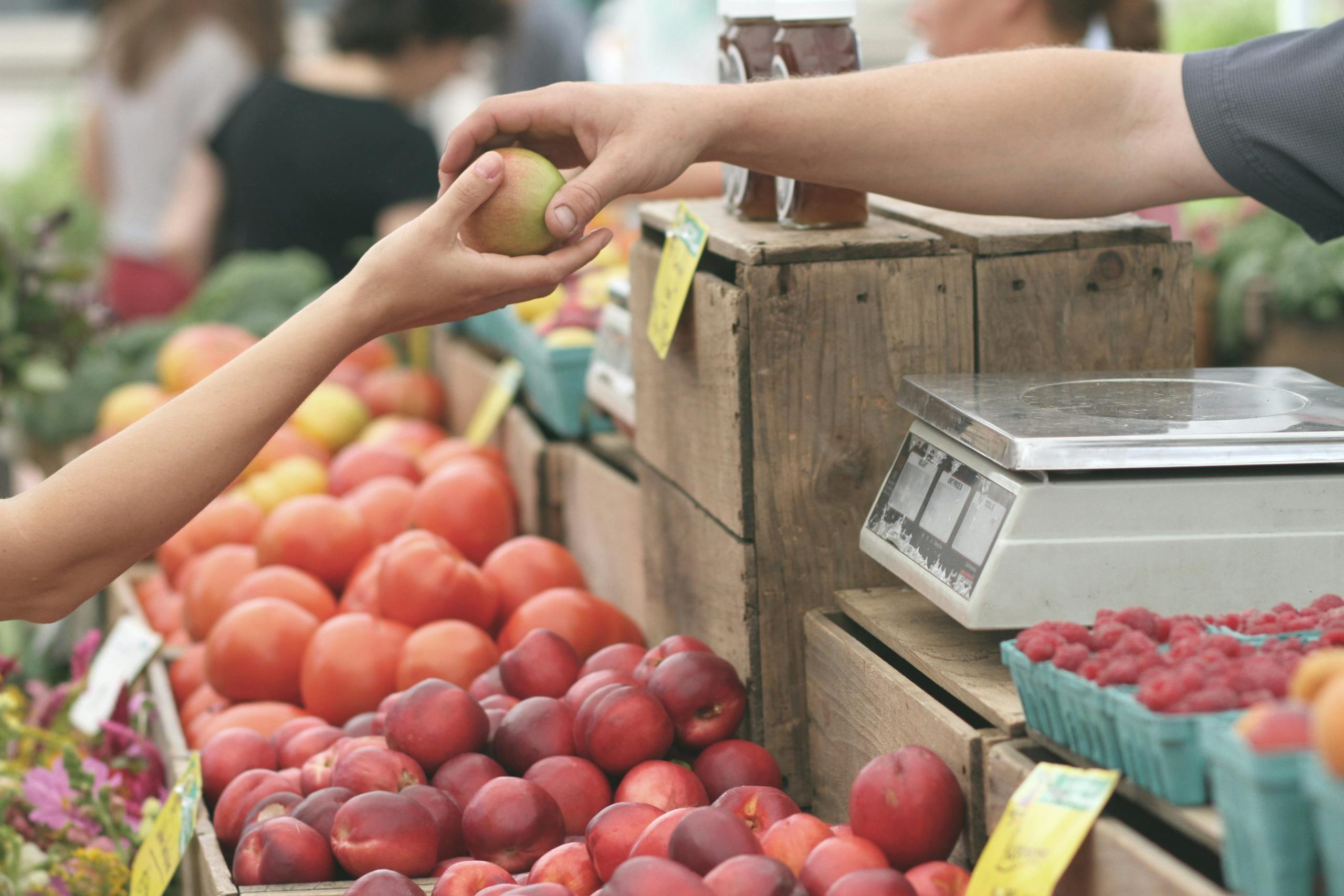 Understanding Utah’s Guidelines for Selling Food at Saturday Swap Meets A customer exchanges an apple with a vendor at a vibrant farmers market.